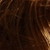 :iconrahasadeghi55: