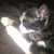 :iconrahjada-galotta: