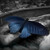 :iconrai-rai-black-rose:
