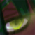 :iconrai-ryuukami: