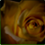 :iconraibelle:
