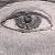 :iconRaidenEvas: