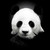 :iconraider1327: