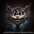 :iconraidho-shezamne: