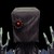 :iconraikarasu: