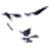 :iconrailocelot:
