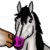 :iconraimaacademy: