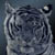 :iconraimundo-young: