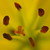 :iconrainawhile: