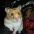 :iconrainb0w14: