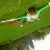 :iconrainbeux: