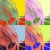 :iconrainboard: