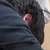 :iconrainbow-genitalia: