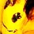 :iconrainbow-prairie: