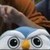 :iconrainbow-thief: