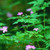 :iconrainbow090: