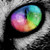 :iconrainbowcat17: