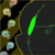 :iconrainbowchesh: