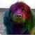 :iconrainbowdoggy: