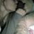 :iconrainbowdrop: