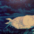 :iconrainboweyedbeauty: