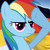 :iconrainbowgambler:
