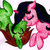 :iconrainbowhashmash: