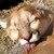 rainbowHTFhuger :iconrainbowhtfhuger: