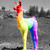 :iconrainbowllamaunicorns: