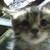 :iconrainbowmuffinscrayon: