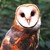 :iconrainbowoflight: