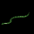 :iconrainbowreptile: