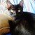 RainbowRevolver16 :iconrainbowrevolver16: