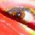 :iconRainbows-and-Shadows: