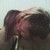 :iconrainbows-drown: