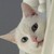:iconrainbowtattoo: