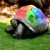 :iconrainbowturtleplz: