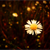 :iconrainbowwave: