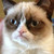 :iconrainburider: