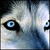 :iconrainclaw-the-sweet: