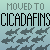 :iconraincoat-vigilante: