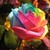 :iconraindrop14: