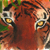 :iconraineforst: