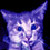 :iconrainesylver: