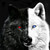 rainfox88 :iconrainfox88: