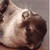 :iconrainights: