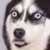 :iconrainilicious: