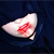 :iconraining-kittens: