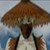 :iconrainingblood789: