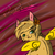 :iconrainkant: